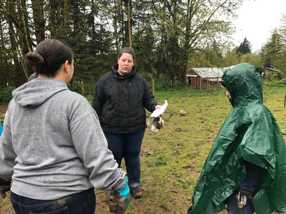 YMs, parents & staff working at Windhaven Therapeutic Riding